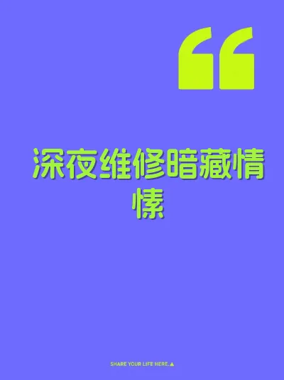 深夜维修暗藏情愫