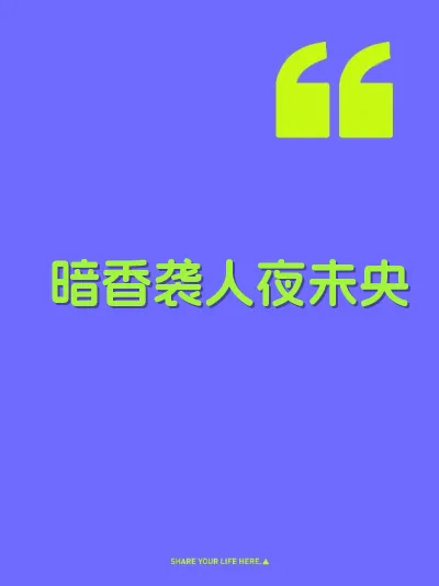 暗香袭人夜未央