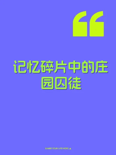 记忆碎片中的庄园囚徒