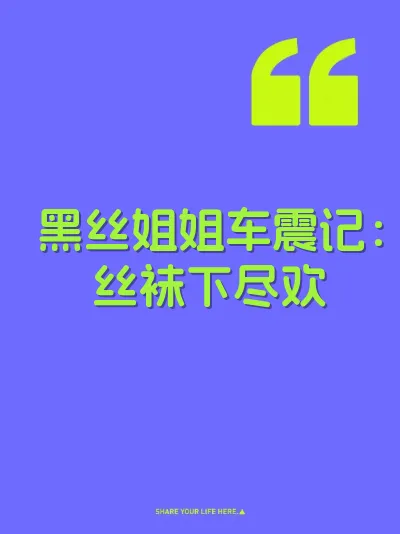 黑丝姐姐车震记：丝袜下尽欢