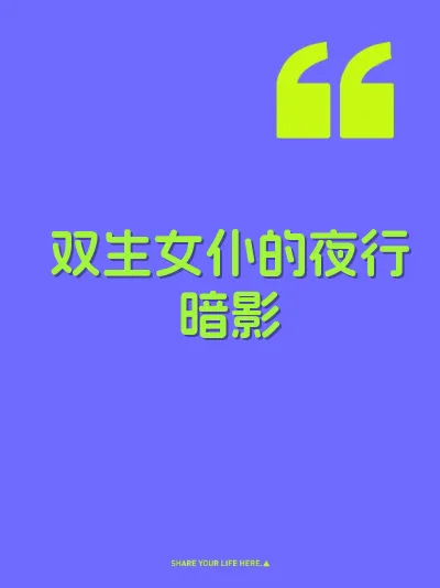 双生女仆的夜行暗影