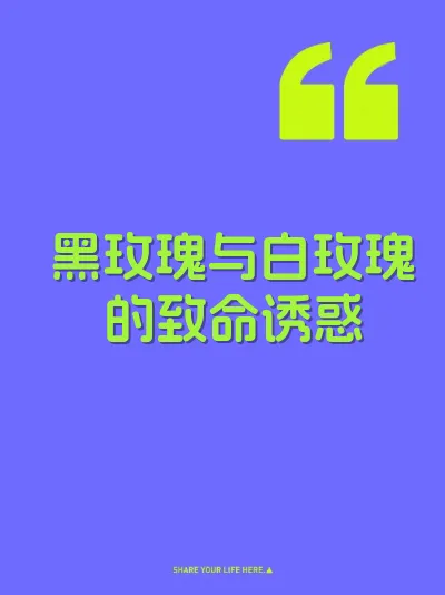 黑玫瑰与白玫瑰的致命诱惑