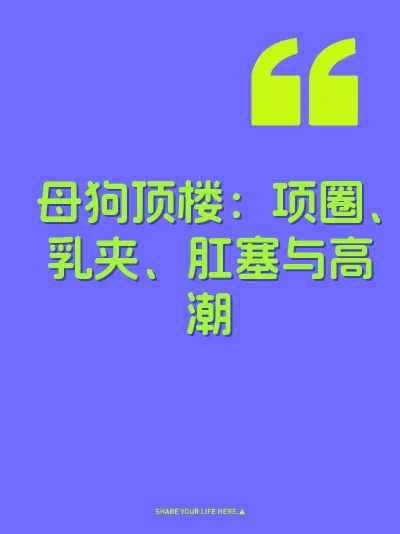 母狗顶楼：项圈、乳夹、肛塞与高潮