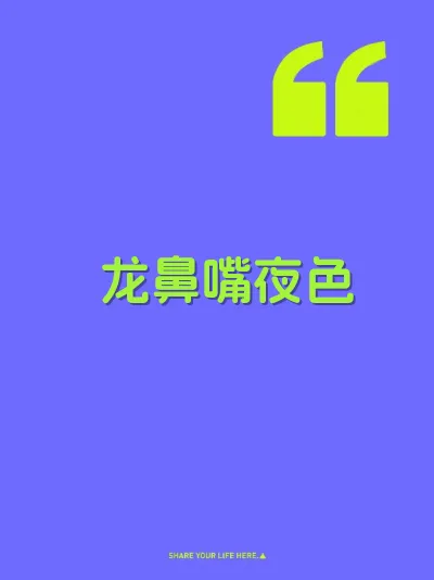 龙鼻嘴夜色